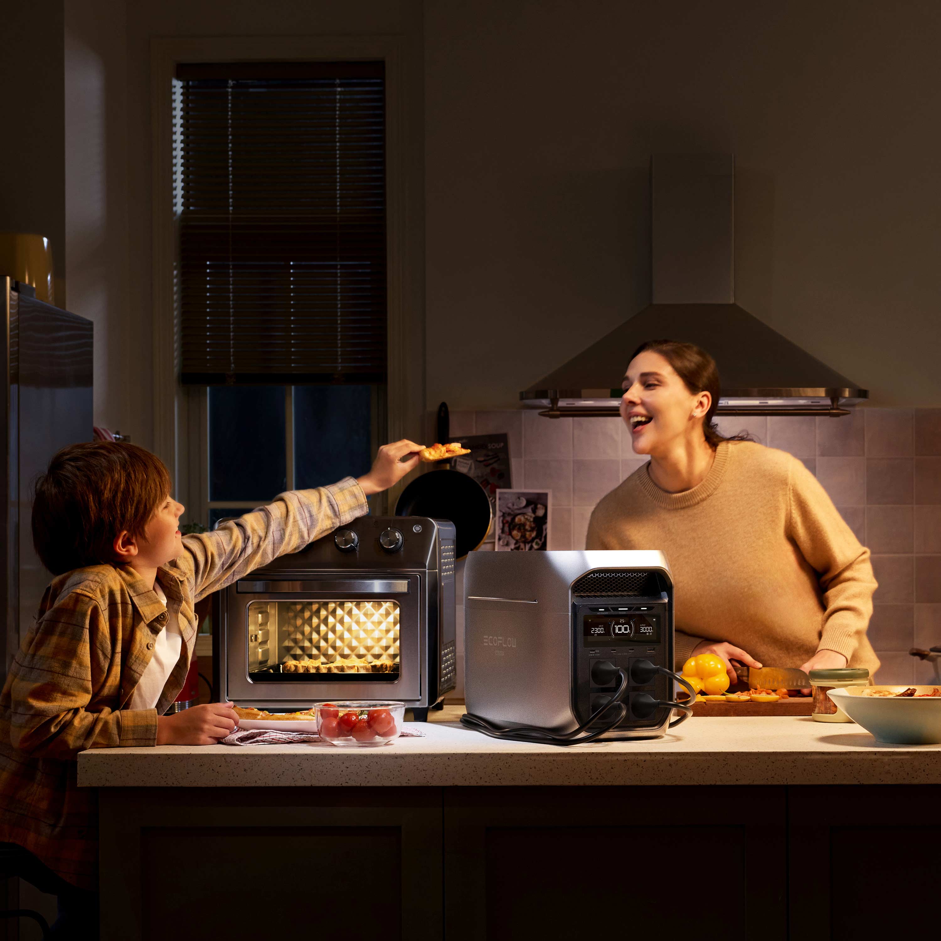 EcoFlow DELTA 3 Max Plus power station